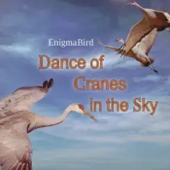 EnigmaBird - Dance of Cranes in the Sky слушать онлайн