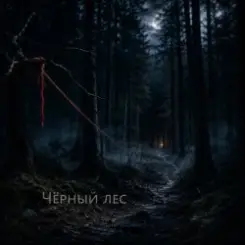 Обложка Ведьмина гора - Стужа