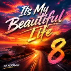 Обложка DJ FORTUNA - Its My Beautiful Life 8
