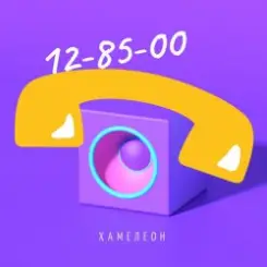Обложка Хамелеон - Математика