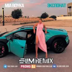 MIA BOYKA - Экспонат (Slim Remix) слушать онлайн