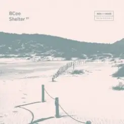 BCee - Shelter (Mixed) слушать онлайн