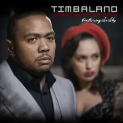 Обложка Timbaland feat. Nelly Furtado - Morning After Dark (Album Version)