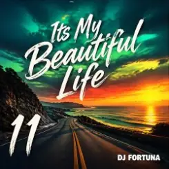 Обложка DJ FORTUNA - Its My Beautiful Life 11
