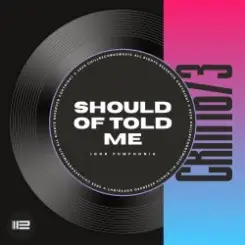 Обложка Igor Pumphonia - Should Of Told Me