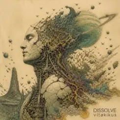 Обложка ViTaLiKuS - Dissolve