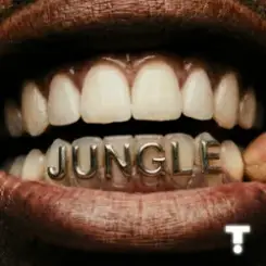 Обложка TroyBoi & Shiwa - Jungle