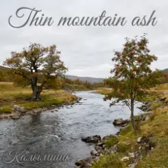 Обложка Калымщик - Thin mountain ash