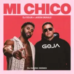 Обложка Dj Goja & Jason Derulo - Mi Chico (Dj Dark Remix)