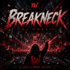 Обложка DJ.kwaki - Breakneck