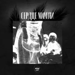 Обложка ПИЛС - Верба