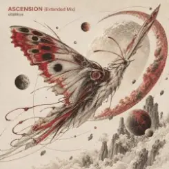 ViTaLiKuS - ASCENSION (Extended Mix) слушать онлайн