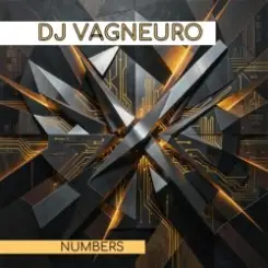 Обложка DJ VAGNEURO - NUMBERS