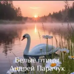 Обложка Андрей Парачук - Белые птицы