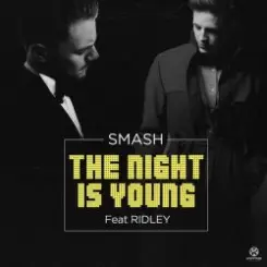 Обложка DJ Smash feat. Ridley - The Night Is Young