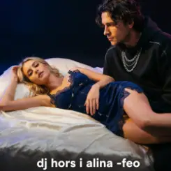 Обложка DJ Hors (Remix на трек Alina-feo) - Ты любишь делать куни