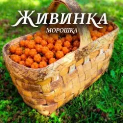 Обложка Живинка - Морошка