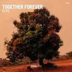 Обложка DJ PD - Together Forever