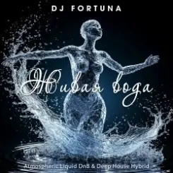 Обложка DJ FORTUNA - Живая вода (Russian Edition)